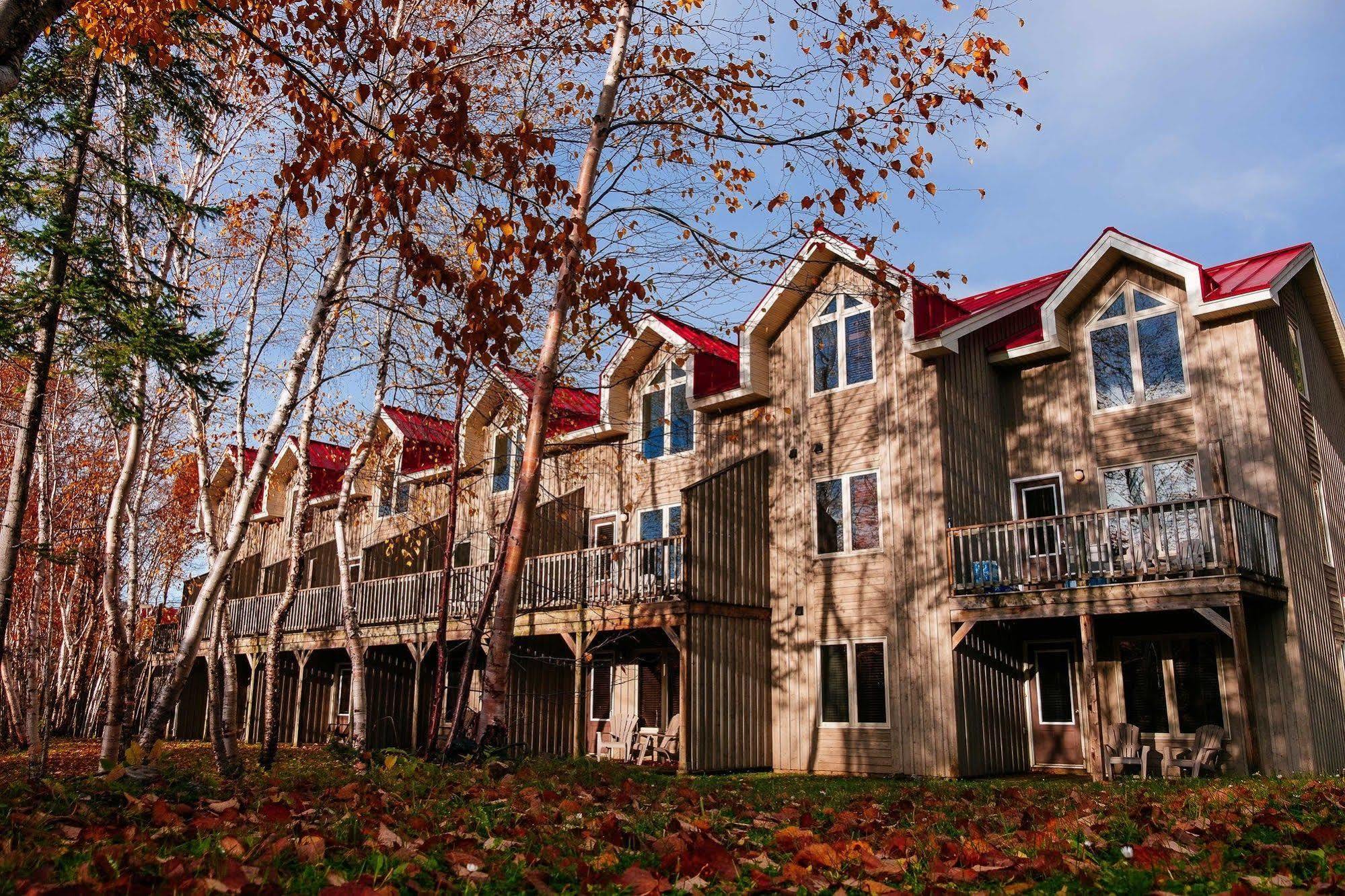Marblewood Village Resort Steady Brook ภายนอก รูปภาพ